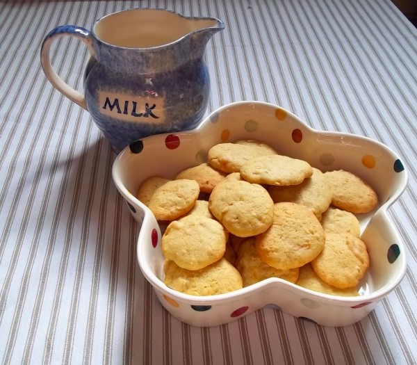 Carrot and apricot cake biscuits