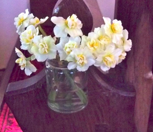 End of pew flowers: a jam jar of narcissi, tied on with brown twine (by Green and Gorgeous, South Stoke, Oxon.)