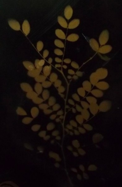 Stencilled leaves on filing cabinet