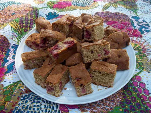 Fresh raspberry and almond blondies