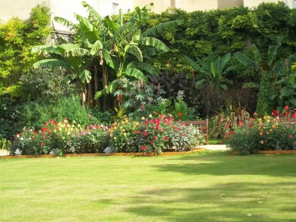 Balliol College Oxford: new dahlia beds celebrate the 750th anniversary of the college