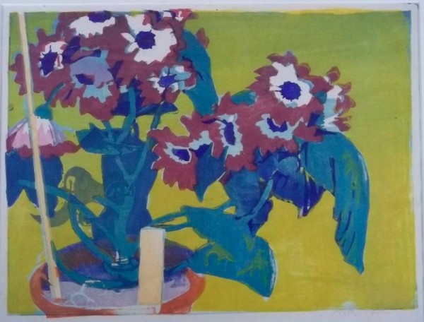 Mabel Royds 'Cineraria' woodcut