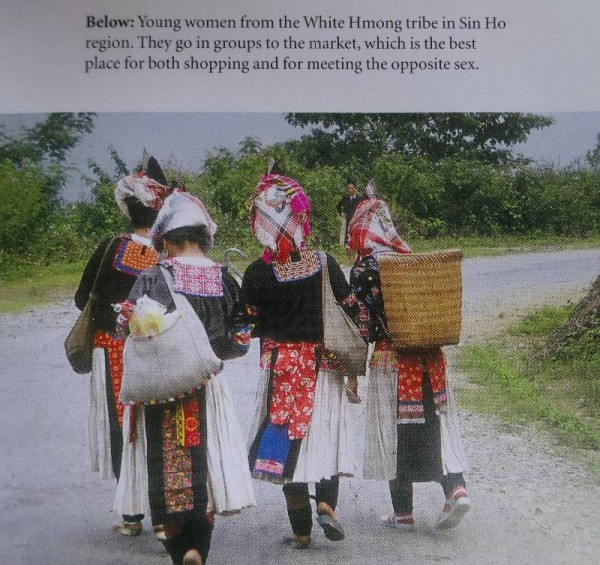 Vietnamese White Hmong Skirt girls (photograph from Catherine Legrand's Textiles: A World Tour T & H  2008)