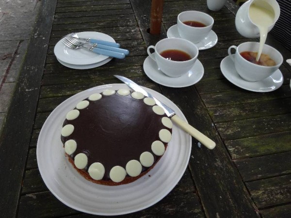 Milk chocolate  cake with chocolate fudge icing and white chocolate buttons