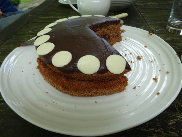 Milk chocolate cake with chocolate fudge icing and white chocolate buttons