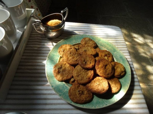 Cranberry and white chocolate biscuits