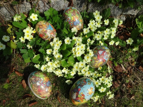 Easter eggs amongst the primroses