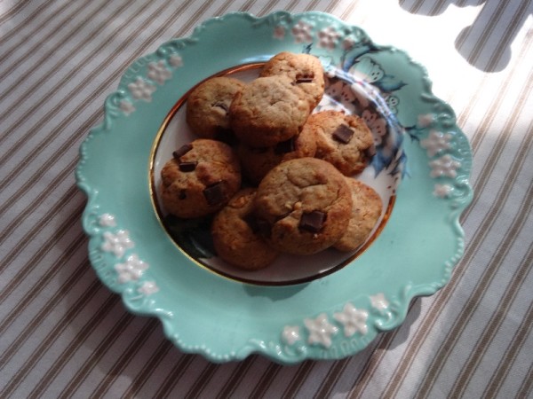 Peanut butter and chocolate chip biscuits