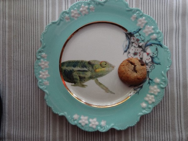 Peanut butter and chocolate chip biscuit on Lou Rota's 'Nature Table ' plate (for Anthropologie)