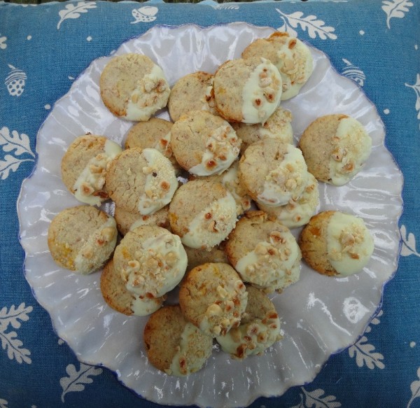  White chocolate dipped hazelnut and apricot biscuits