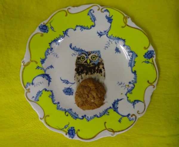 Beacon Hill Cookie on Anthropologie plate