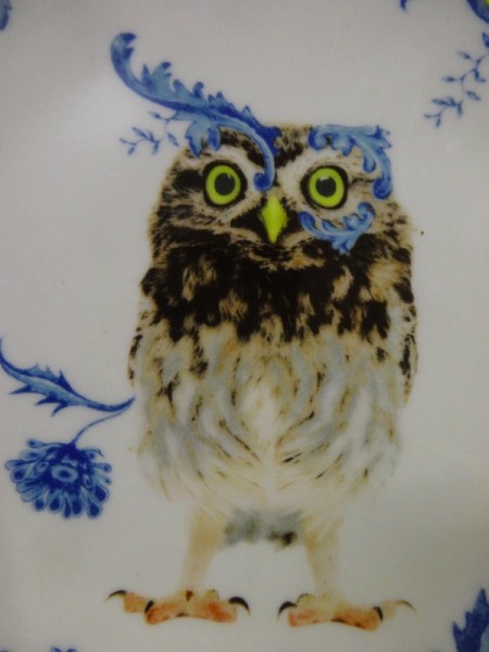 Detail of owl on an Anthropologie plate