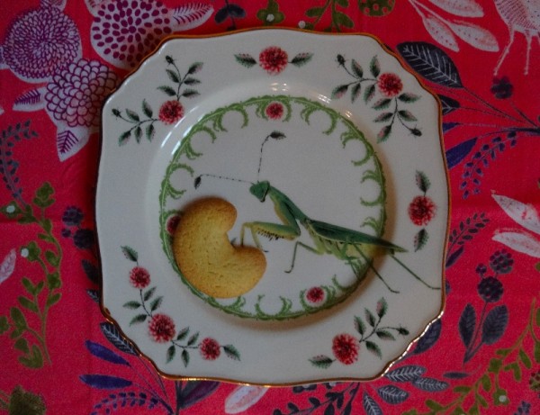 Lemon polenta crescent on an Anthropologie grasshopper plate