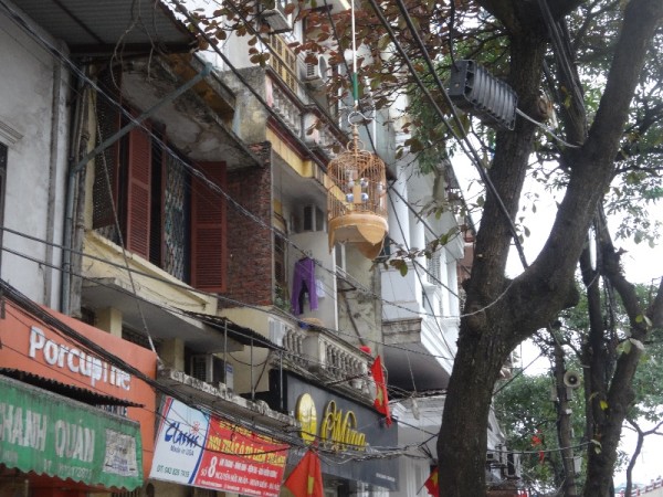 Hanoi, the old town:  electricity cables