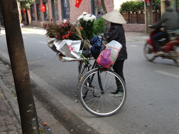 Hanoi : bicycle flower seller