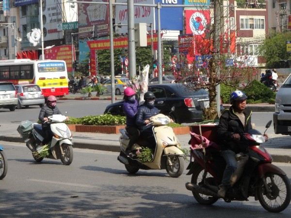 Hanoi: Tet peach blossom