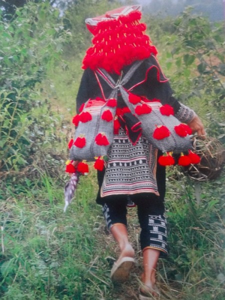 Picture of Red Dao woman on the way to market and showing her headdress of multiple scarves and tassels. (Once again this is not my photo but is taken from the excellent "Textiles: A World Tour" by Catherine Legrand (T & H, 2008)